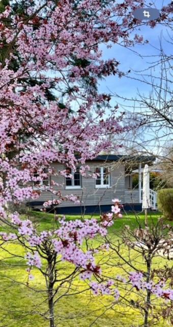 Ferienhaus Meine Insel Scheid  المظهر الخارجي الصورة